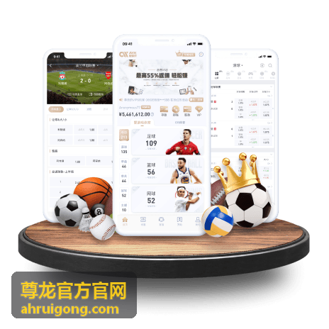 尊龙官方官网合作流程与服务对接示意